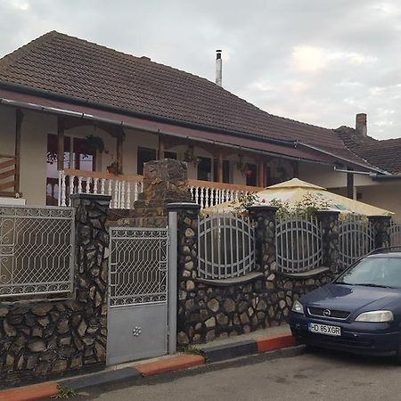 Appartamento Casa Leo Haţeg Esterno foto