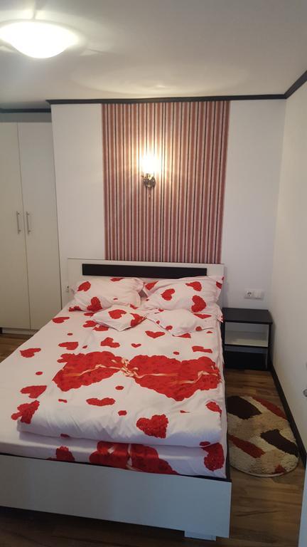 Appartamento Casa Leo Haţeg Esterno foto