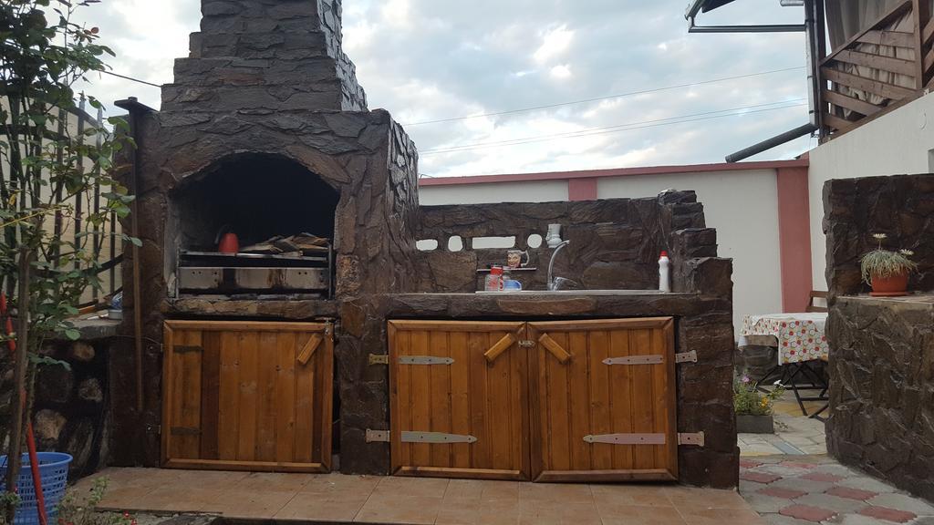 Appartamento Casa Leo Haţeg Esterno foto