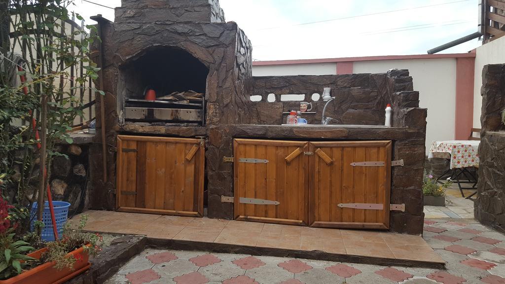 Appartamento Casa Leo Haţeg Esterno foto