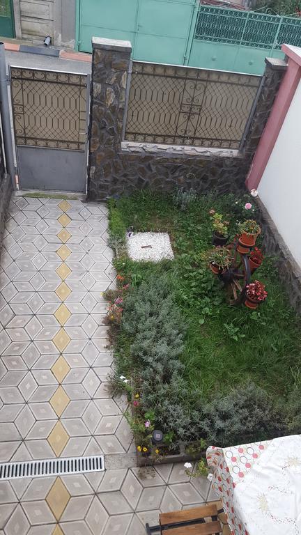 Appartamento Casa Leo Haţeg Esterno foto