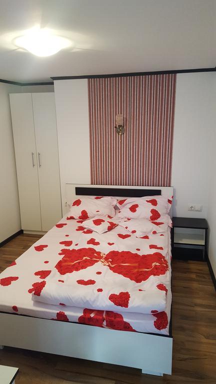Appartamento Casa Leo Haţeg Esterno foto